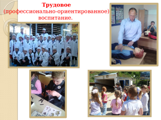 Трудовое   (профессионально-ориентированное)  воспитание. 