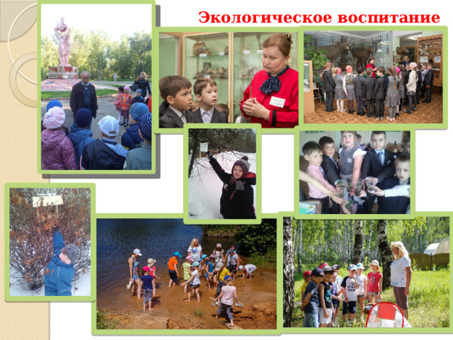Экологическое воспитание 