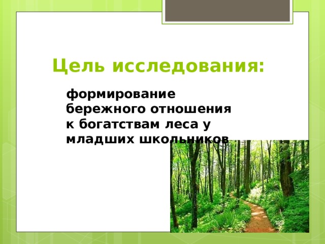 Цель исследования: формирование бережного отношения к богатствам леса у младших школьников 