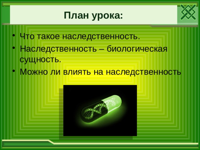  План урока:   Что такое наследственность. Наследственность – биологическая сущность. Можно ли влиять на наследственность 