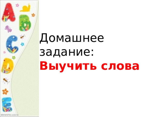 Домашнее задание: Выучить слова 