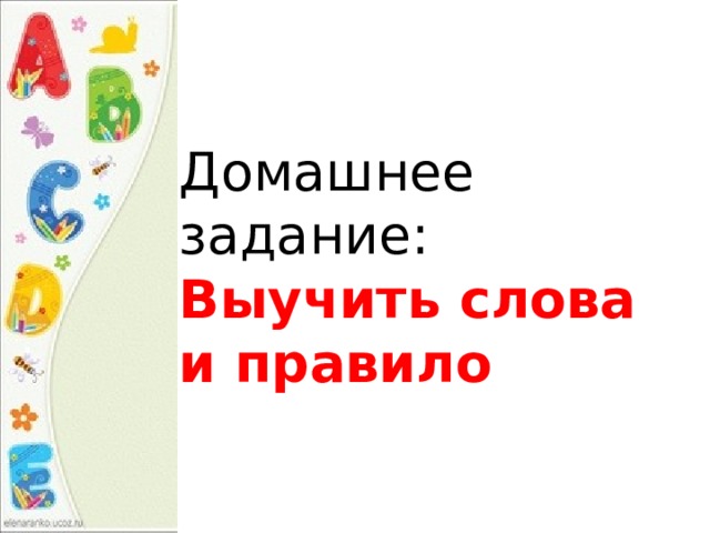 Домашнее задание: Выучить слова и правило 