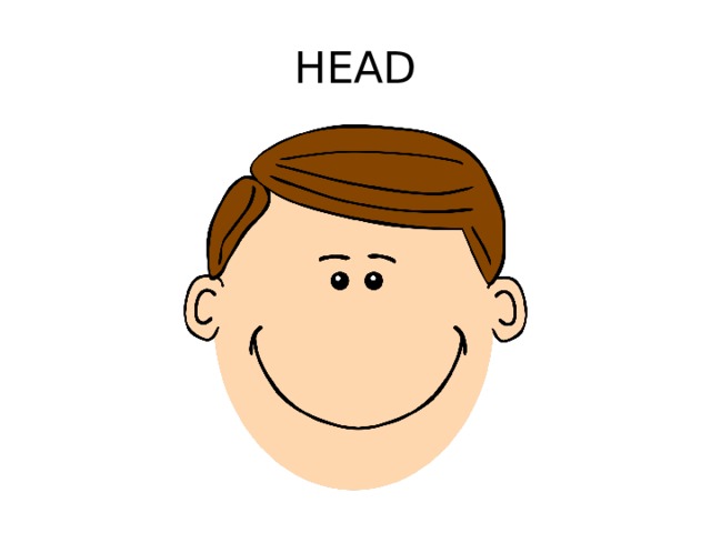 HEAD 