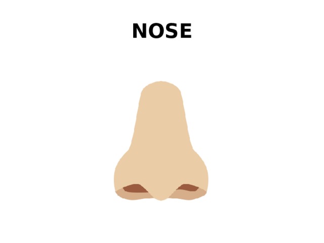 NOSE 