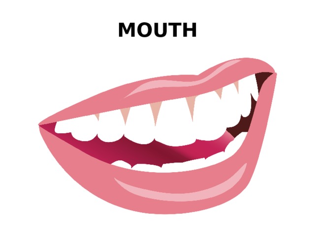 MOUTH 