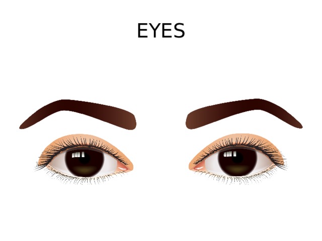EYES 