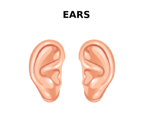 EARS 