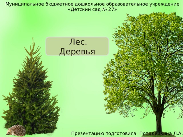 Муниципальное бюджетное дошкольное образовательное учреждение «Детский сад № 27»  Лес. Деревья Презентацию подготовила: Попадейкина Л.А. 