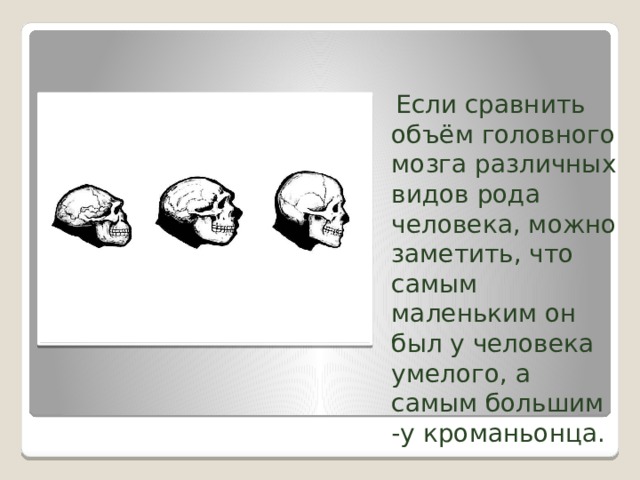  Если сравнить объём головного мозга различных видов рода человека, можно заметить, что самым маленьким он был у человека умелого, а самым большим -у кроманьонца. 