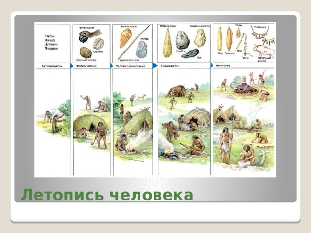 Летопись человека 