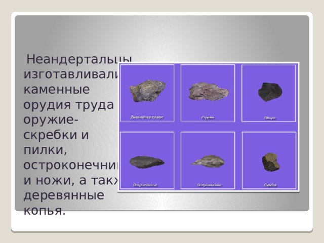  Неандертальцы изготавливали каменные орудия труда и оружие- скребки и пилки, остроконечники и ножи, а также деревянные копья. 