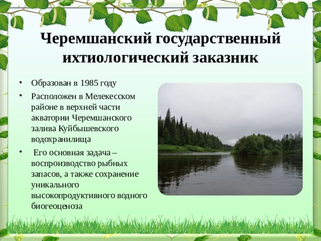 Черемшанский государственный ихтиологический заказник Образован в 1985 году Расположен в Мелекесском районе в верхней части акватории Черемшанского залива Куйбышевского водохранилища  Его основная задача – воспроизводство рыбных запасов, а также сохранение уникального высокопродуктивного водного биогеоценоза 