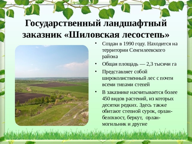 Государственный ландшафтный заказник «Шиловская лесостепь»   Создан в 1990 году. Находится на территории Сенгилеевского района Общая площадь — 2,3 тысячи га Представляет собой широколиственный лес с почти всеми типами степей В заказнике насчитывается более 450 видов растений, из которых десятки редких. Здесь также обитают степной сурок, орлан-белохвост, беркут, орлан-могильник и другие 
