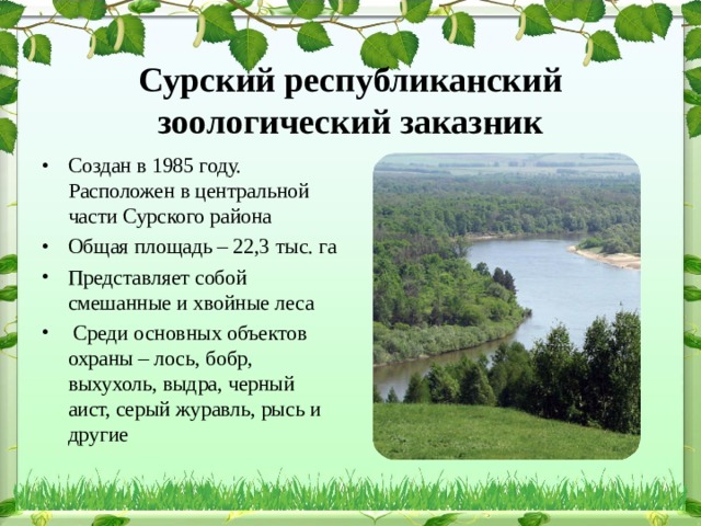 Сурский республиканский зоологический заказник Создан в 1985 году. Расположен в центральной части Сурского района Общая площадь – 22,3 тыс. га Представляет собой смешанные и хвойные леса  Среди основных объектов охраны – лось, бобр, выхухоль, выдра, черный аист, серый журавль, рысь и другие 
