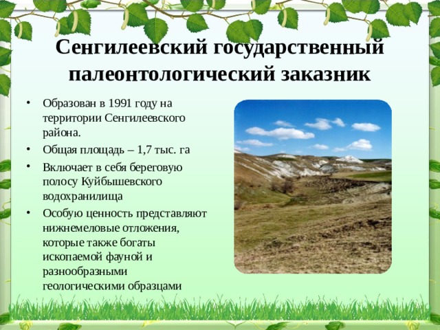 Сенгилеевский государственный палеонтологический заказник Образован в 1991 году на территории Сенгилеевского района. Общая площадь – 1,7 тыс. га Включает в себя береговую полосу Куйбышевского водохранилища Особую ценность представляют нижнемеловые отложения, которые также богаты ископаемой фауной и разнообразными геологическими образцами 