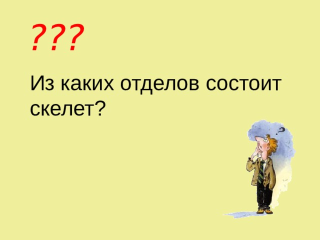 ??? Из каких отделов состоит скелет? 