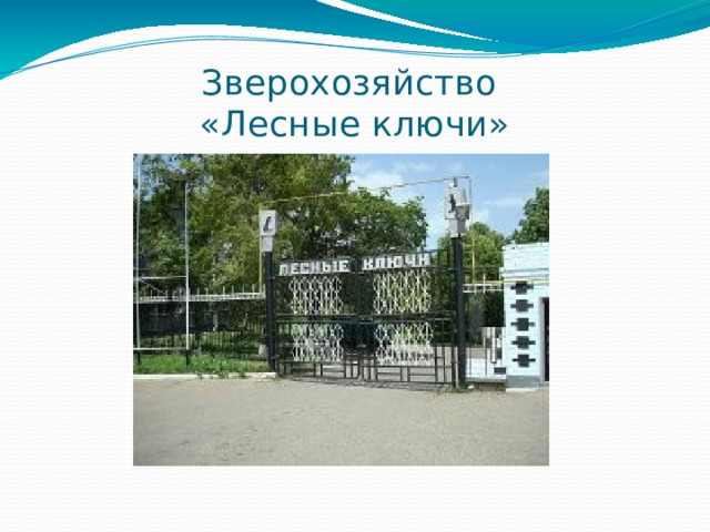 Зверохозяйство  «Лесные ключи» 