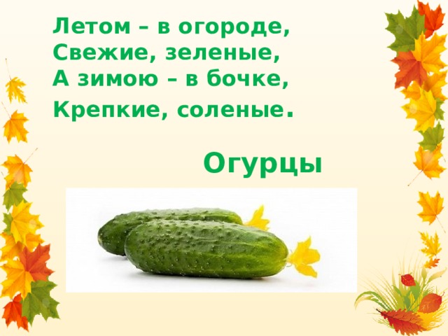 Летом – в огороде,   Свежие, зеленые,   А зимою – в бочке,   Крепкие, соленые . Огурцы 