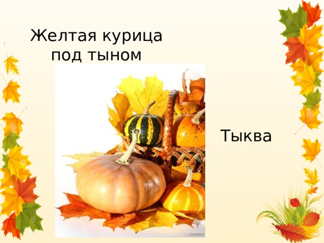 Желтая курица под тыном дуется Тыква 