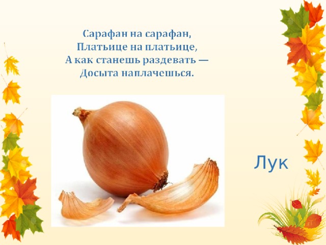 Лук 