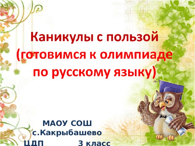 МАОУ СОШ с.Какрыбашево ЦДП 3 класс 