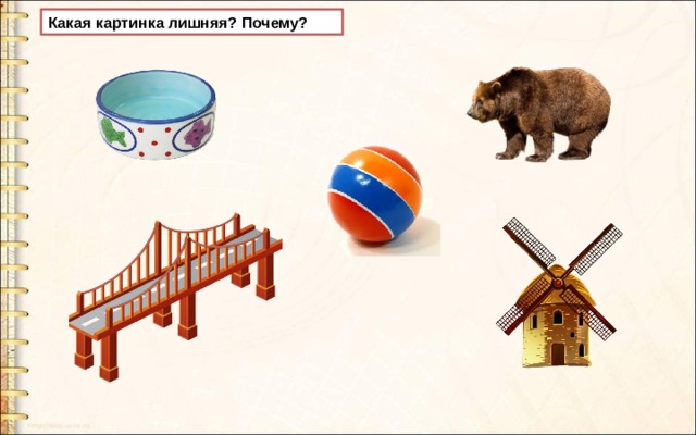 Какая картинка лишняя? Почему? 