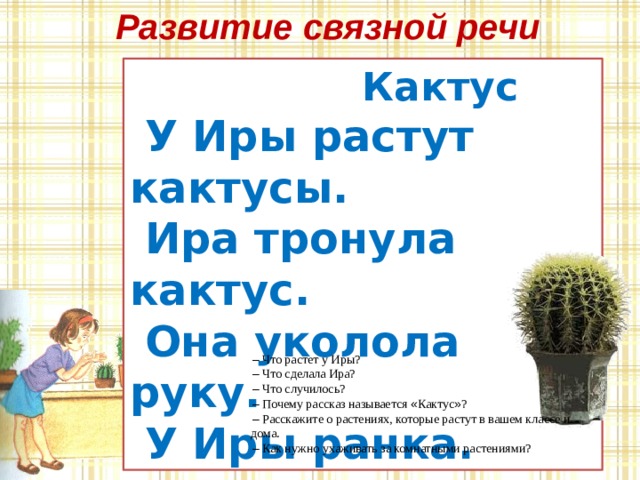 Развитие связной речи  Кактус  У Иры растут кактусы.  Ира тронула кактус.  Она уколола руку.  У Иры ранка. –  Что растет у Иры? –  Что сделала Ира? –  Что случилось? –  Почему рассказ называется « Кактус » ? –  Расскажите о растениях, которые растут в вашем классе и дома. –  Как нужно ухаживать за комнатными растениями?  