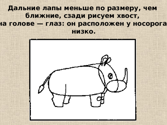 Дальние лапы меньше по размеру, чем ближние, сзади рисуем хвост, на голове — глаз: он расположен у носорога низко. 