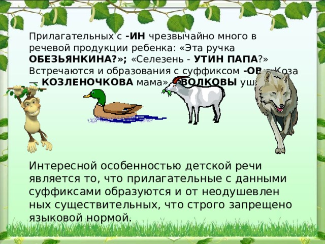 При​лагательных с -ИН чрезвычайно много в речевой продукции ребен​ка: «Эта ручка ОБЕЗЬЯНКИНА?»; «Селезень - УТИН ПАПА ?» Встречаются и образования с суффиксом -ОВ : «Коза — КОЗЛЕНОЧКОВА мама», « ВОЛКОВЫ уши! Интересной особенностью детской речи является то, что прила​гательные с данными суффиксами образуются и от неодушевлен​ных существительных, что строго запрещено языковой нормой. 