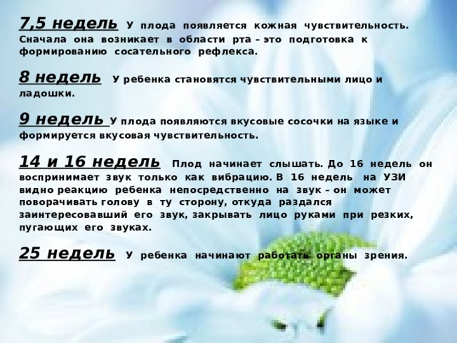 7,5 недель  У плода появляется кожная чувствительность. Сначала она возникает в области рта – это подготовка к формированию сосательного рефлекса. 8 недель  У ребенка становятся чувствительными лицо и ладошки. 9 недель У плода появляются вкусовые сосочки на языке и формируется вкусовая чувствительность. 14 и 16 недель  Плод начинает слышать. До 16 недель он воспринимает звук только как вибрацию. В 16 недель на УЗИ видно реакцию ребенка непосредственно на звук – он может поворачивать голову в ту сторону, откуда раздался заинтересовавший его звук, закрывать лицо руками при резких, пугающих его звуках. 25 недель У ребенка начинают работать органы зрения. 