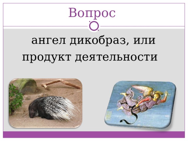 Вопрос  ангел дикобраз, или продукт деятельности 