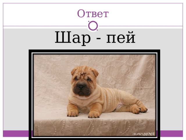 Ответ  Шар - пей 