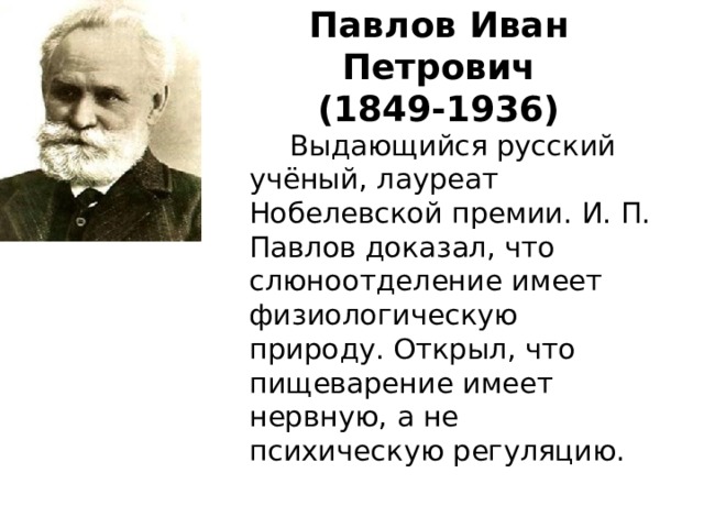Павлов Иван Петрович  (1849-1936)  Выдающийся русский учёный, лауреат Нобелевской премии. И. П. Павлов доказал, что слюноотделение имеет физиологическую природу. Открыл, что пищеварение имеет нервную, а не психическую регуляцию. 