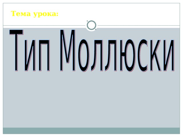 Тема урока:      