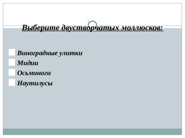 Выберите двустворчатых моллюсков: Виноградные улитки Мидии Осьминоги Наутилусы 
