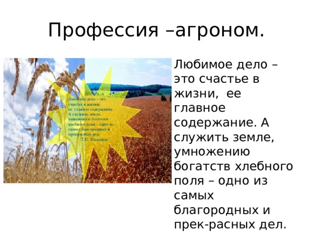 Профессия –агроном. Любимое дело – это счастье в жизни,  ее главное содержание. А служить земле,  умножению богатств хлебного поля – одно из самых благородных и прек-расных дел.  (Т.С. Мальцев). 