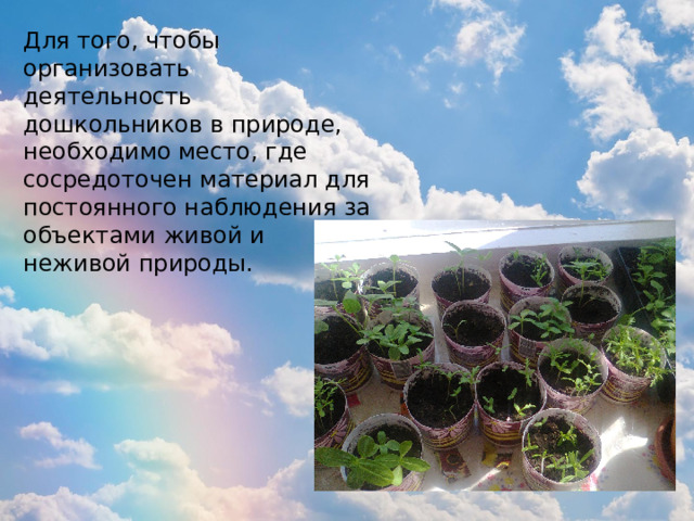 Для того, чтобы организовать деятельность дошкольников в природе, необходимо место, где сосредоточен материал для постоянного наблюдения за объектами живой и неживой природы. 