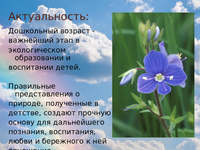 Актуальность: Дошкольный возраст - важнейший этап в экологическом образовании и воспитании детей. Правильные представления о природе, полученные в детстве, создают прочную основу для дальнейшего познания, воспитания, любви и бережного к ней отношения. 