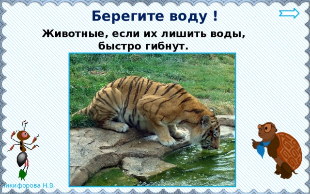 Берегите воду ! Животные, если их лишить воды, быстро гибнут. 