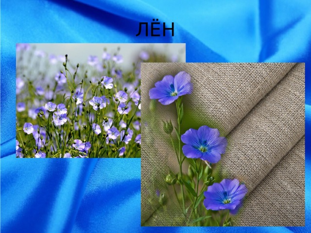 ЛЁН 