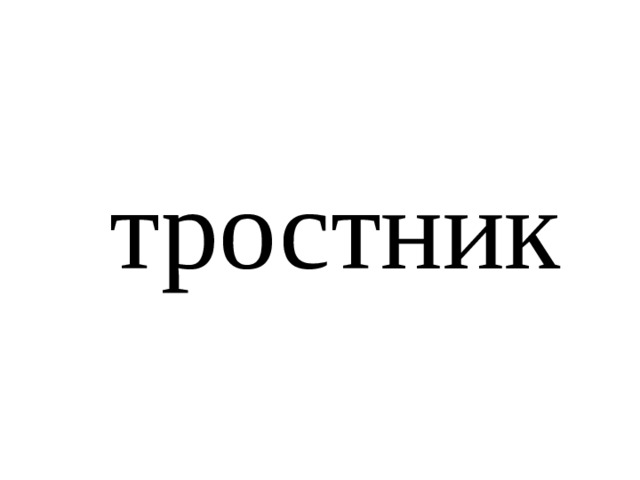 тростник 