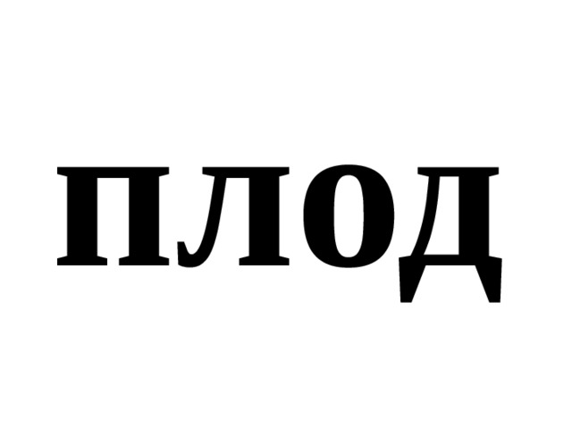 плод 