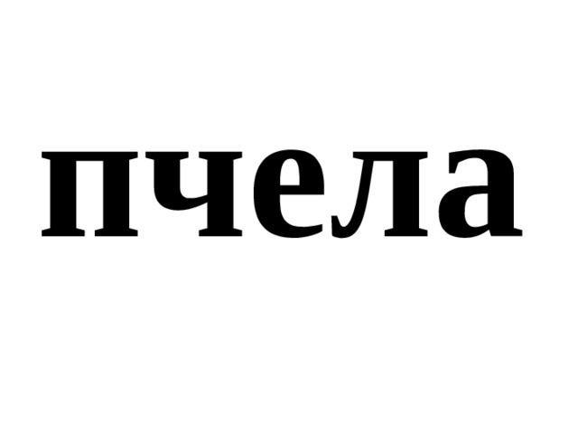 пчела 