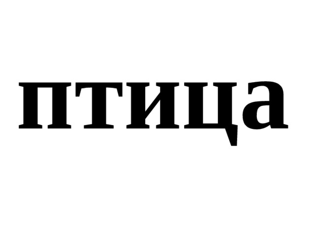 птица 