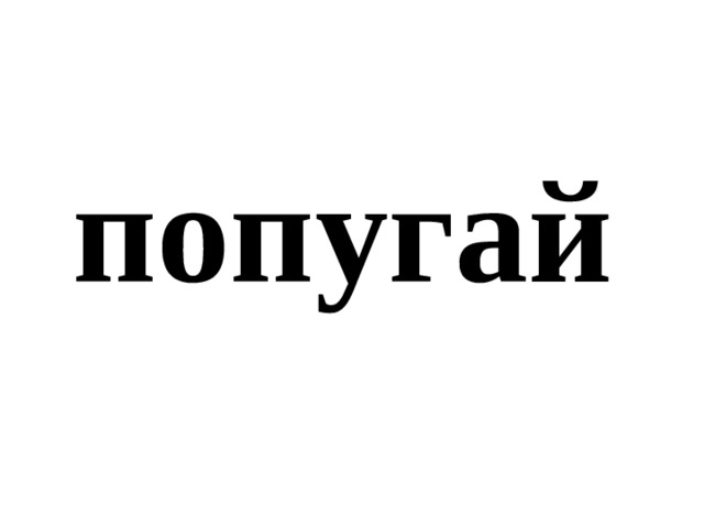 попугай 
