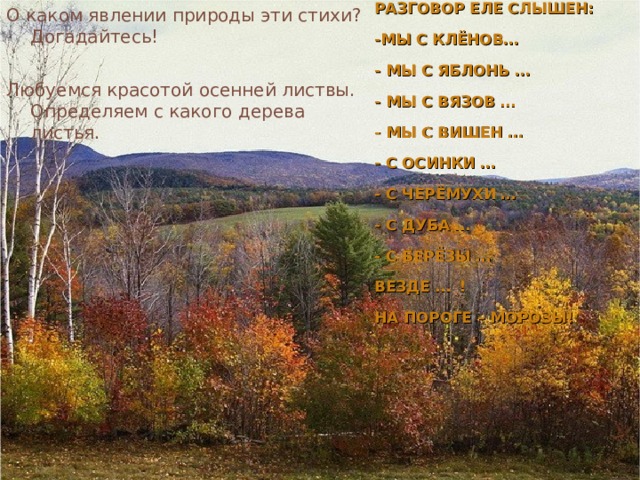 О каком явлении природы эти стихи? Догадайтесь! ОСЕННЕЙ ЛИСТВЫ  РАЗГОВОР ЕЛЕ СЛЫШЕН:  -МЫ С КЛЁНОВ…  - МЫ С ЯБЛОНЬ …  - МЫ С ВЯЗОВ …  - МЫ С ВИШЕН …  - С ОСИНКИ …  - С ЧЕРЁМУХИ …  - С ДУБА …  - С БЕРЁЗЫ …  ВЕЗДЕ …  !  НА ПОРОГЕ – МОРОЗЫ! Любуемся красотой осенней листвы. Определяем с какого дерева листья. 