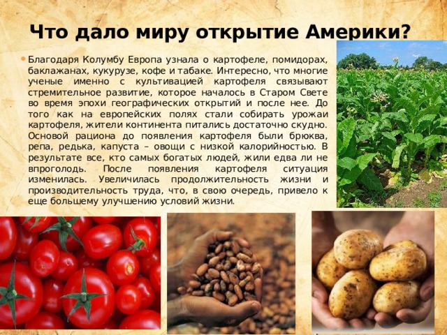 Что дало миру открытие Америки? Благодаря Колумбу Европа узнала о картофеле, помидорах, баклажанах, кукурузе, кофе и табаке. Интересно, что многие ученые именно с культивацией картофеля связывают стремительное развитие, которое началось в Старом Свете во время эпохи географических открытий и после нее. До того как на европейских полях стали собирать урожаи картофеля, жители континента питались достаточно скудно. Основой рациона до появления картофеля были брюква, репа, редька, капуста – овощи с низкой калорийностью. В результате все, кто самых богатых людей, жили едва ли не впроголодь. После появления картофеля ситуация изменилась. Увеличилась продолжительность жизни и производительность труда, что, в свою очередь, привело к еще большему улучшению условий жизни. 