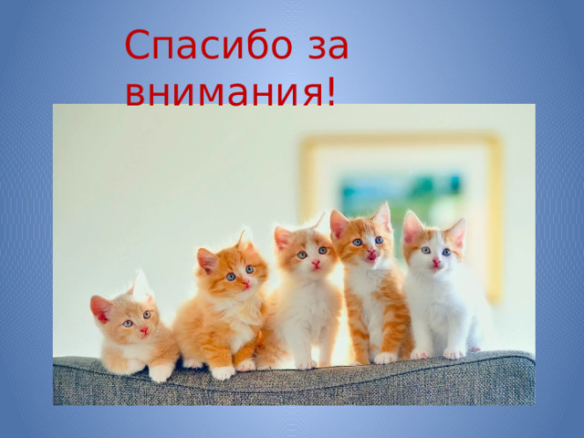 Спасибо за внимания! 