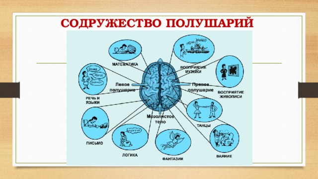 СОДРУЖЕСТВО ПОЛУШАРИЙ 