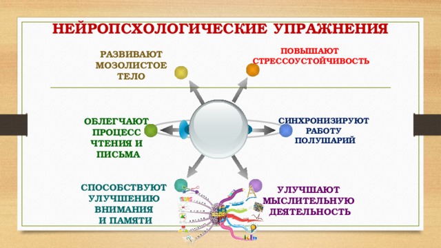 НЕЙРОПСХОЛОГИЧЕСКИЕ УПРАЖНЕНИЯ ПОВЫШАЮТ СТРЕССОУСТОЙЧИВОСТЬ РАЗВИВАЮТ МОЗОЛИСТОЕ ТЕЛО СИНХРОНИЗИРУЮТ ОБЛЕГЧАЮТ ПРОЦЕСС РАБОТУ ЧТЕНИЯ И ПОЛУШАРИЙ ПИСЬМА СПОСОБСТВУЮТ УЛУЧШЕНИЮ ВНИМАНИЯ И ПАМЯТИ УЛУЧШАЮТ МЫСЛИТЕЛЬНУЮ ДЕЯТЕЛЬНОСТЬ 